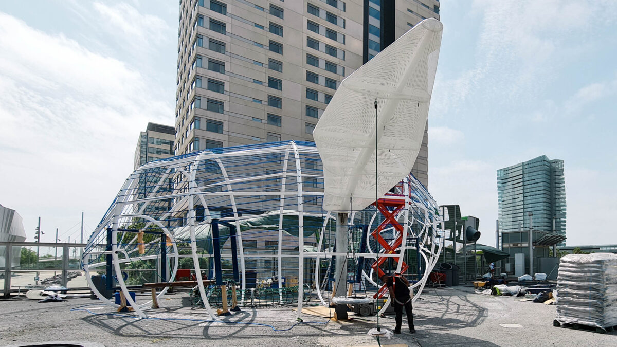 Playground The Whale